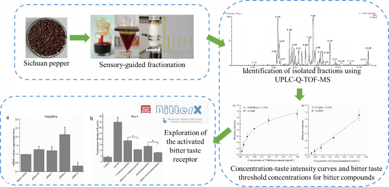 新澳特開獎記錄今天結果,科技成果解析_GYE29.776明星版