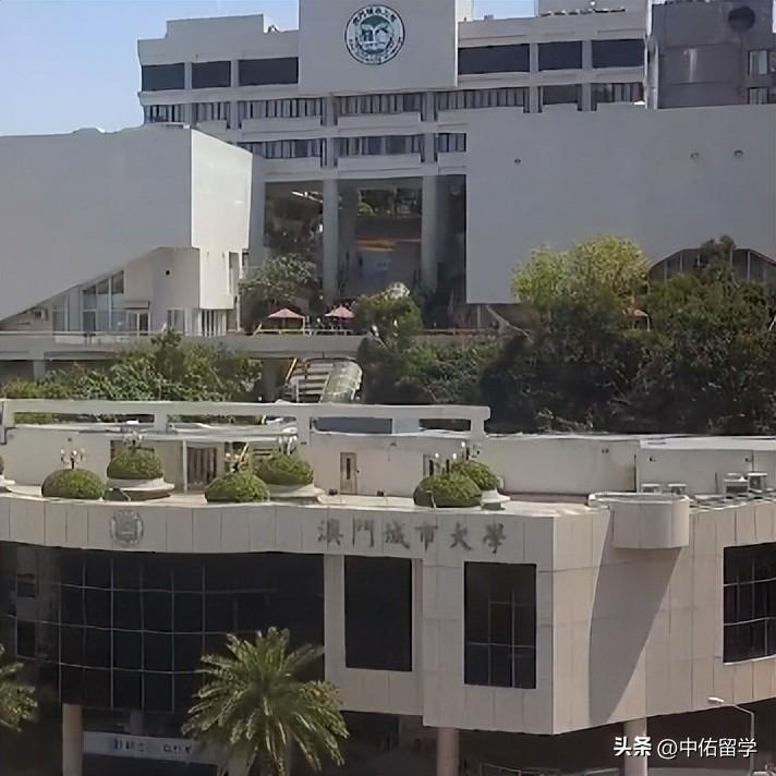 2024新澳門天天開好彩大全,統(tǒng)計數(shù)據(jù)詳解說明_KKF50.133時尚版