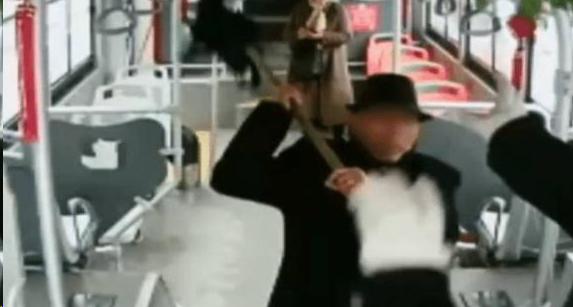 永州司機招聘最新信息,駕馭未來的車輪,與夢想同行啟程