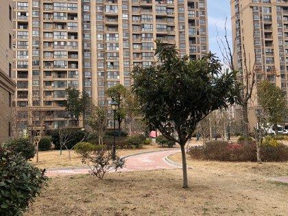 安徽太和最新房價走勢與深度分析