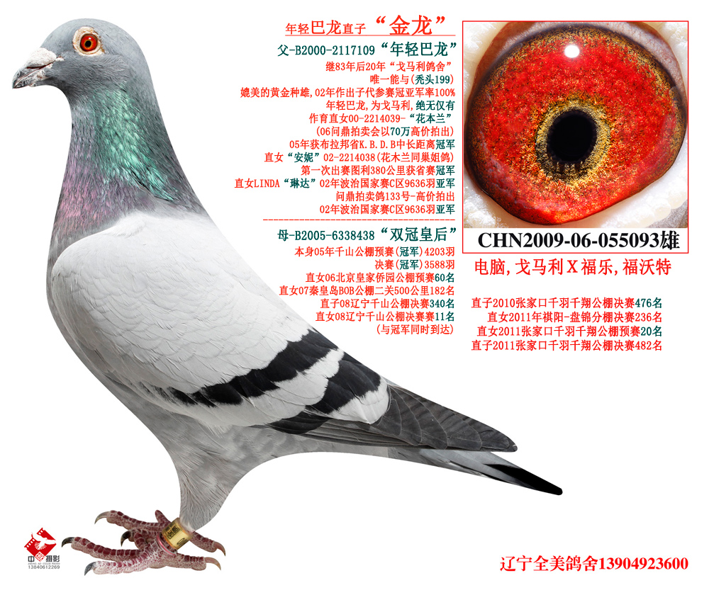 8808金龍彩,高速應對邏輯_ALD29.749限量版