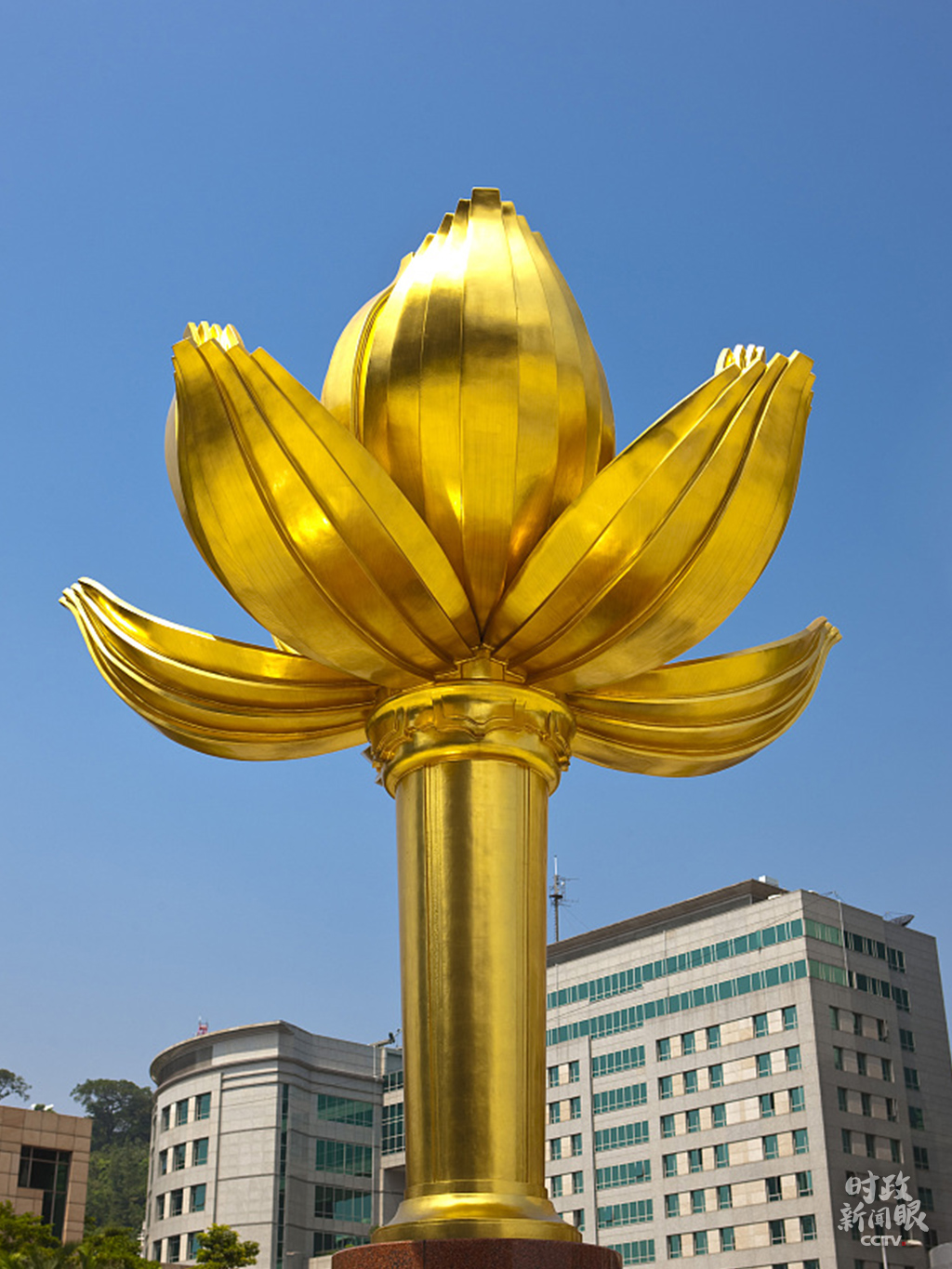 澳門四不像圖片大全2024年,實地觀察解釋定義_MKH50.321薄荷版