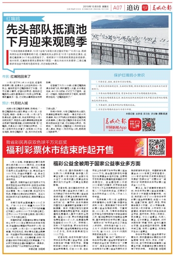 2024新澳門正版資料免費大全,福彩公益網,專業解讀方案實施_DOP50.731美學版