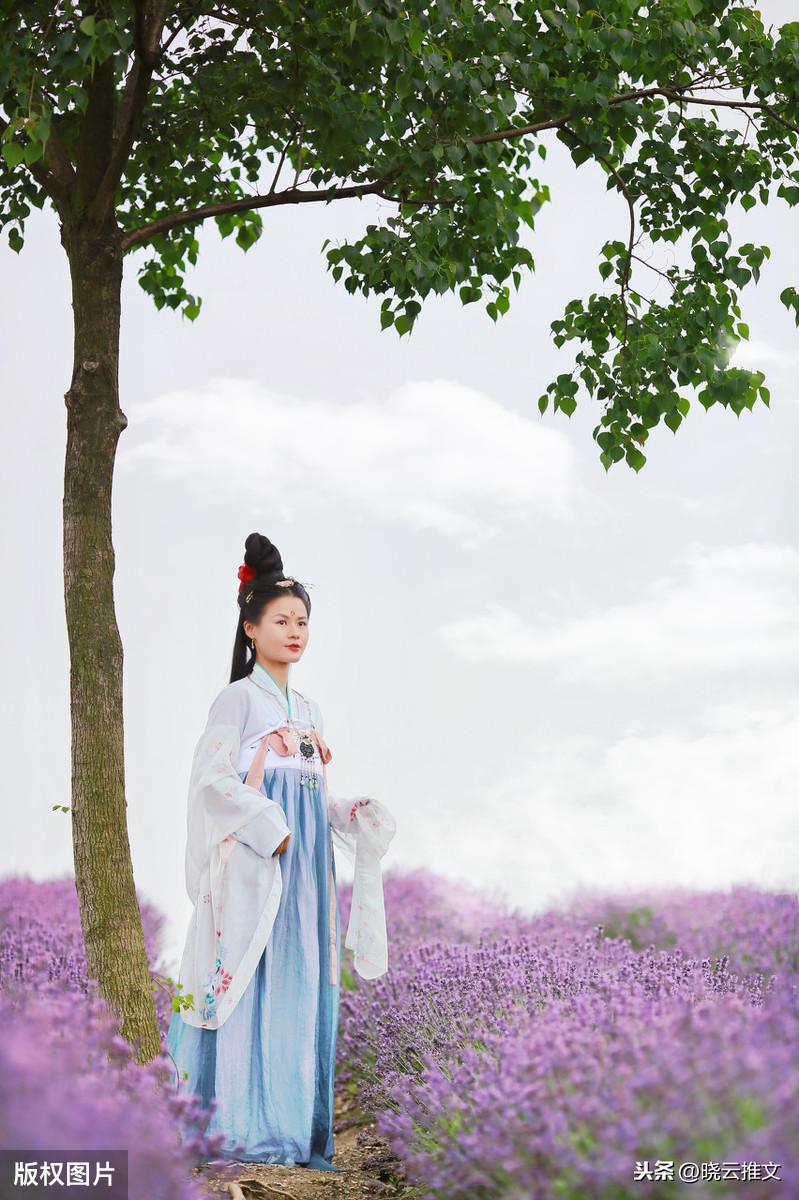 秋夜雨寒最新小說，浪漫之旅啟程