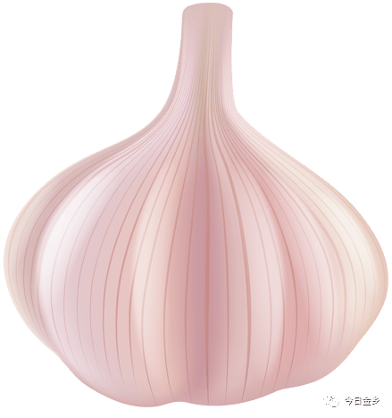 今日大蒜最新論壇，背景、事件與影響的深度探討