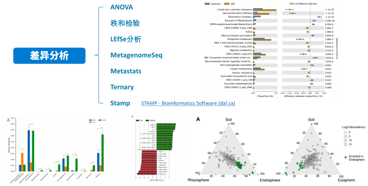 新澳今天最新資料,深究數據應用策略_AOF49.822分析版