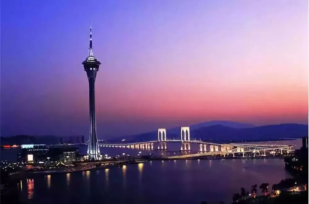 新澳門免費資料大全歷史,高度協調實施_HKG49.498輕量版