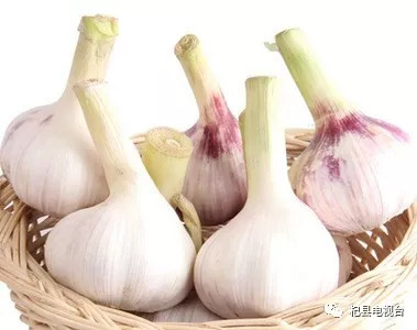 河南杞縣大蒜最新價格探析與動態(tài)更新通知