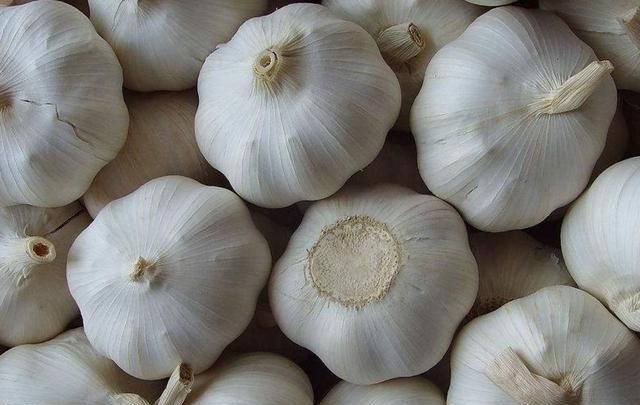 河南杞縣大蒜最新價格探析與動態(tài)更新通知