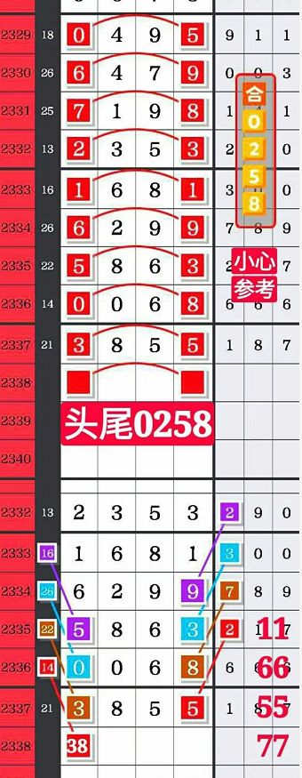 8808金龍彩,全方位數據解析表述_GOE49.612運動版