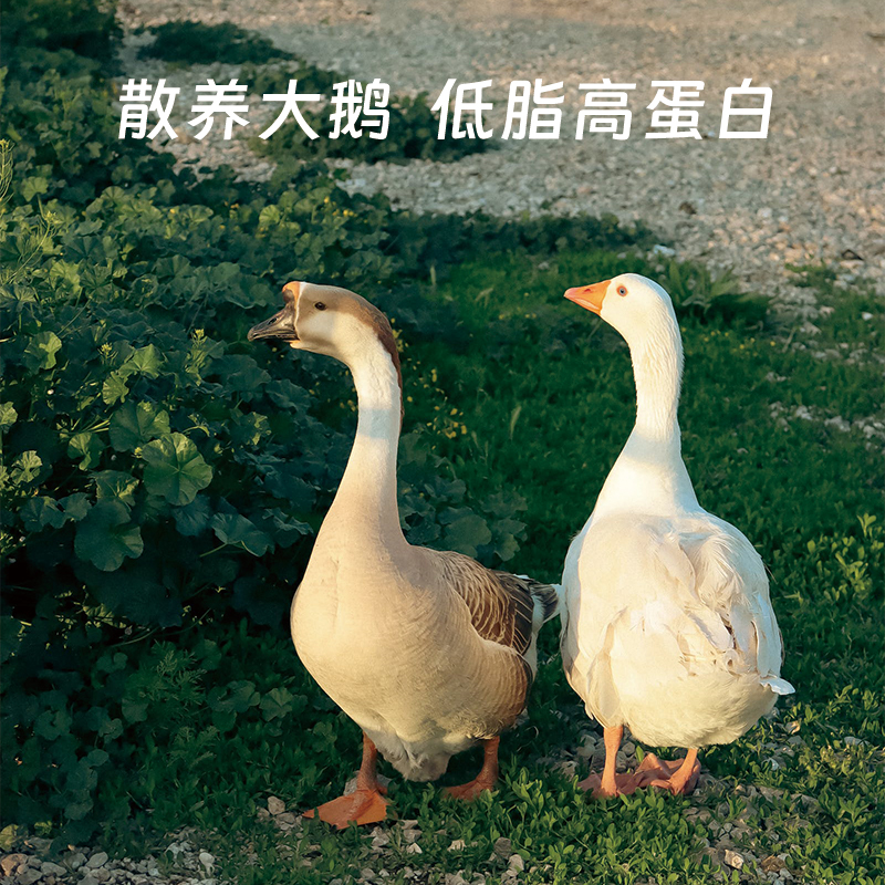 成鵝價(jià)格最新行情揭秘,小巷深處的鵝香探秘