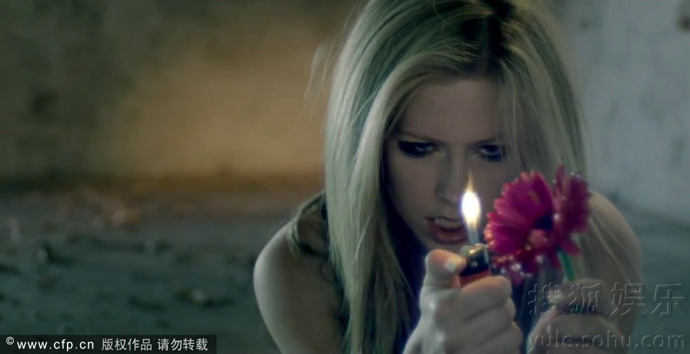 白酒 第528頁(yè)