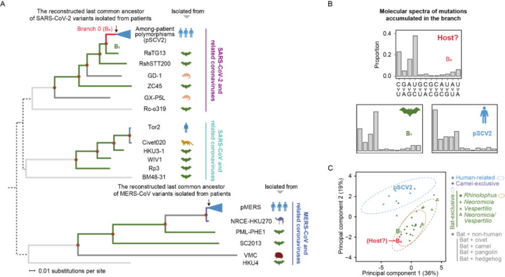 新澳內(nèi)部一碼精準(zhǔn)公開,實(shí)證數(shù)據(jù)分析_PXF49.800愉悅版