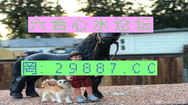 澳門8833308com,實地觀察解釋定義_YIG49.566緊湊版