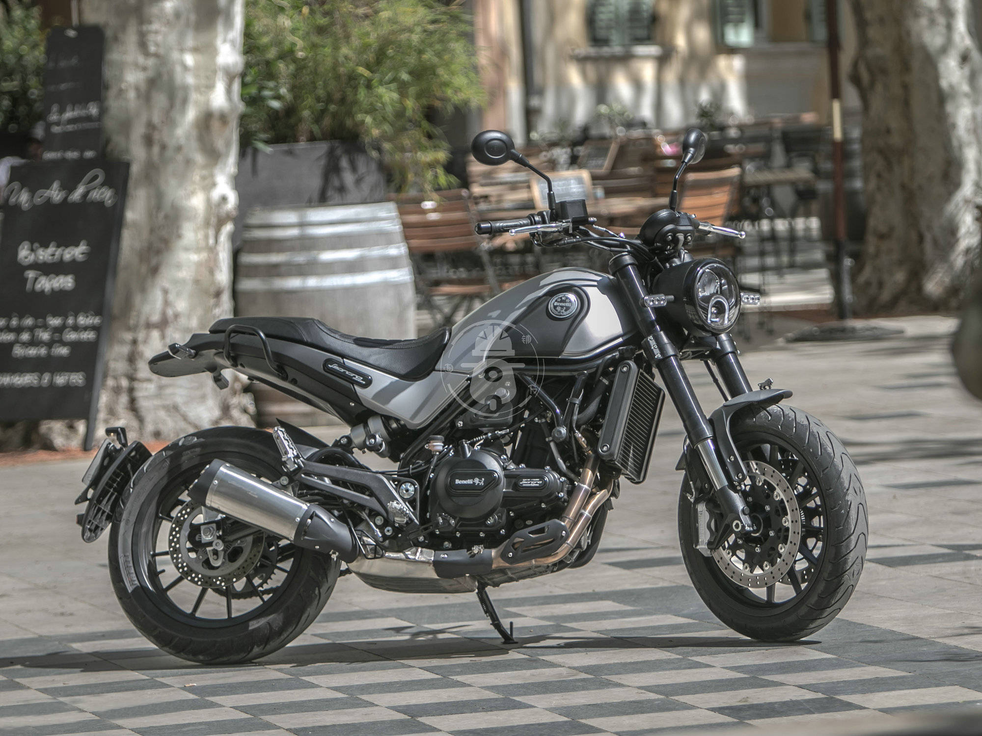 貝納利幼獅500最新動(dòng)態(tài)，變化中學(xué)習(xí)，自信塑造未來