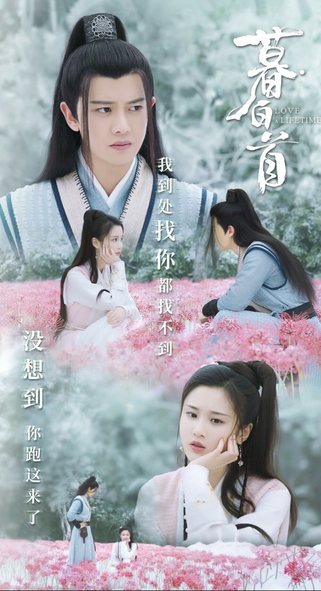 與君白首最新章節(jié),多維解讀青春與成長之路