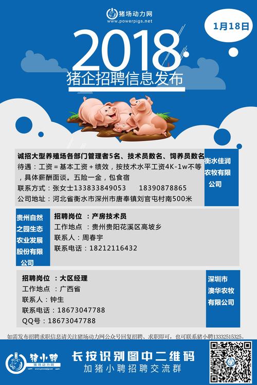 最新肉雞場(chǎng)技術(shù)員招聘,應(yīng)聘步驟指南