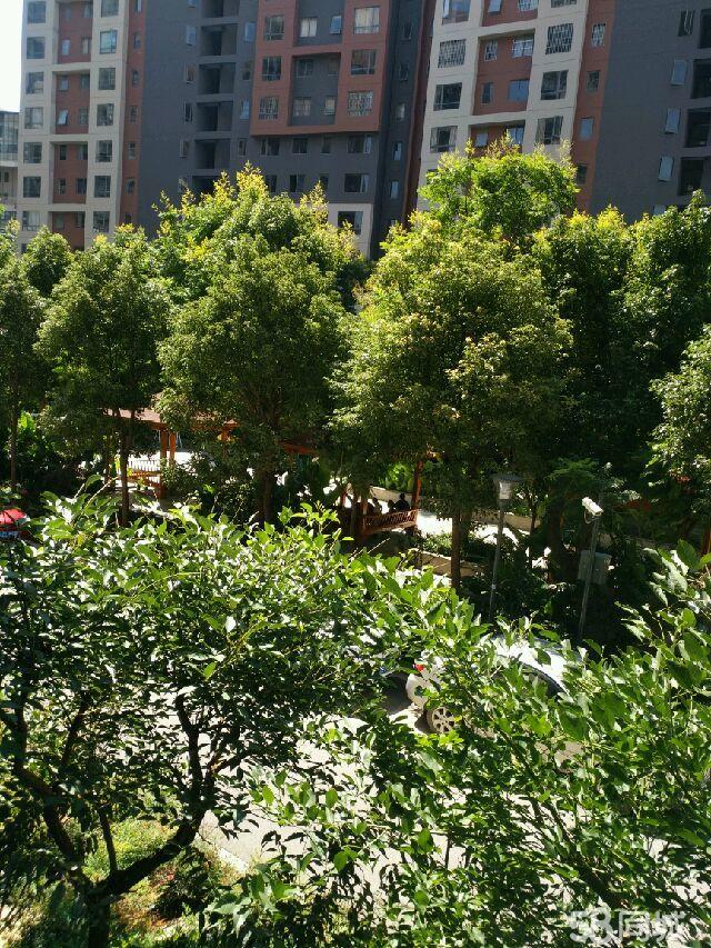 楚雄盛世舒苑最新招聘，探尋小巷中的獨(dú)特風(fēng)味美食人才招募開啟！