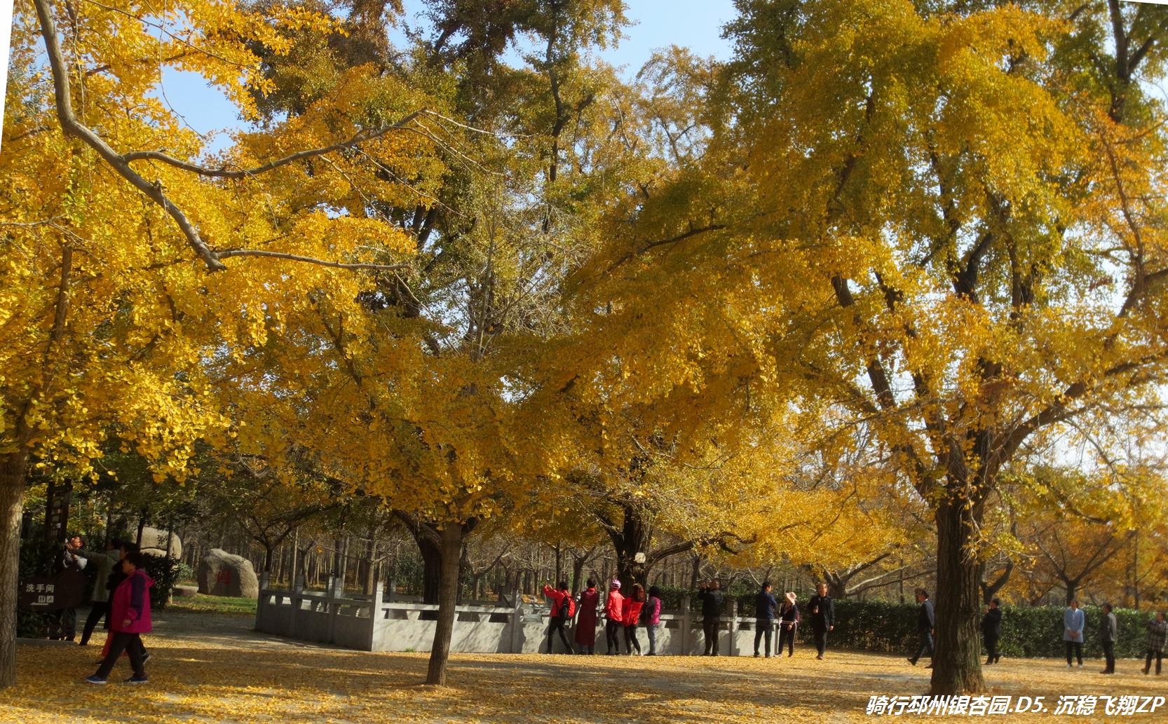 郯城鐵富最新動態與發展態勢探析，多方觀點解析最新消息