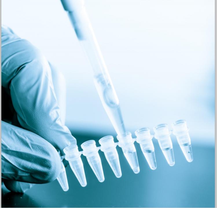 東音股份鑄就輝煌成就，引領行業前行，最新消息速遞