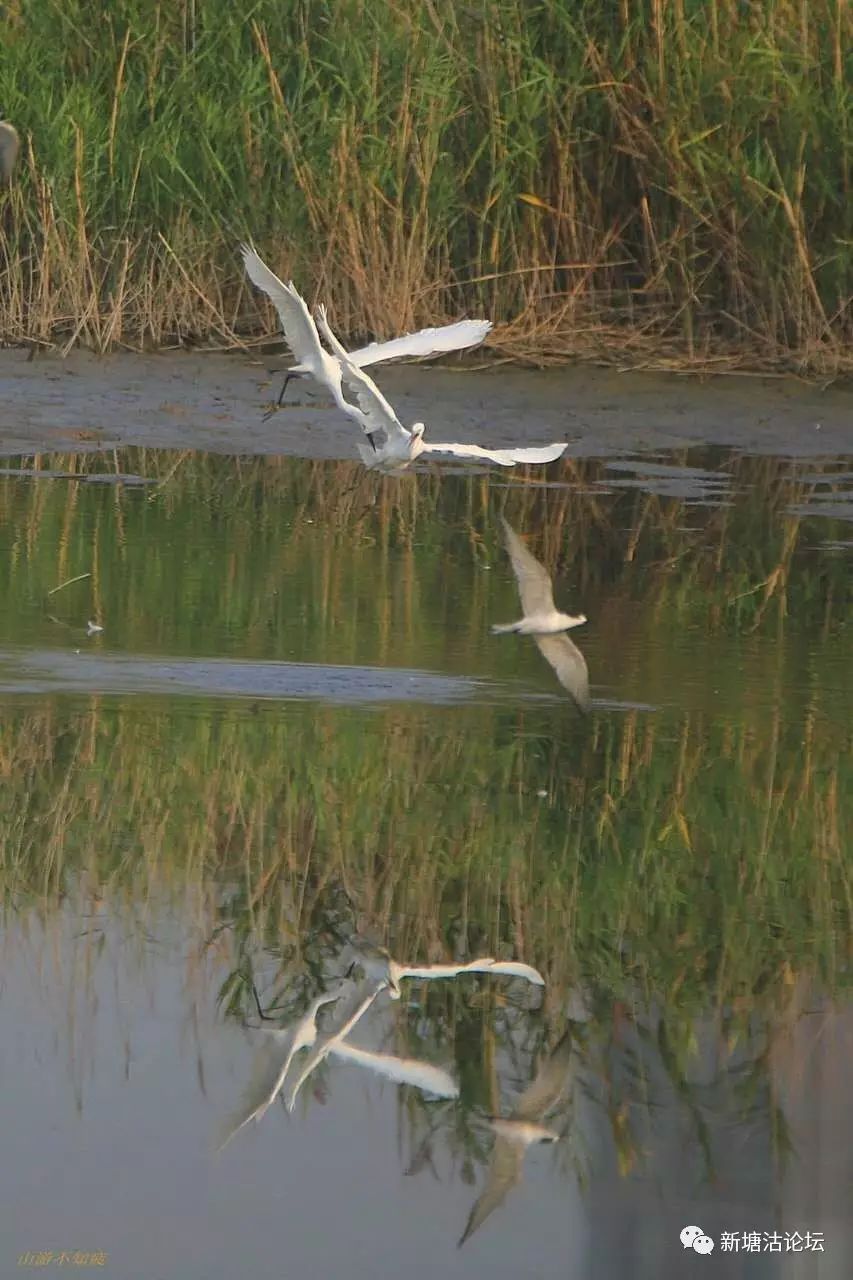 塘沽小梁子最新動態，變化中的學習力量，自信與成就感的源泉