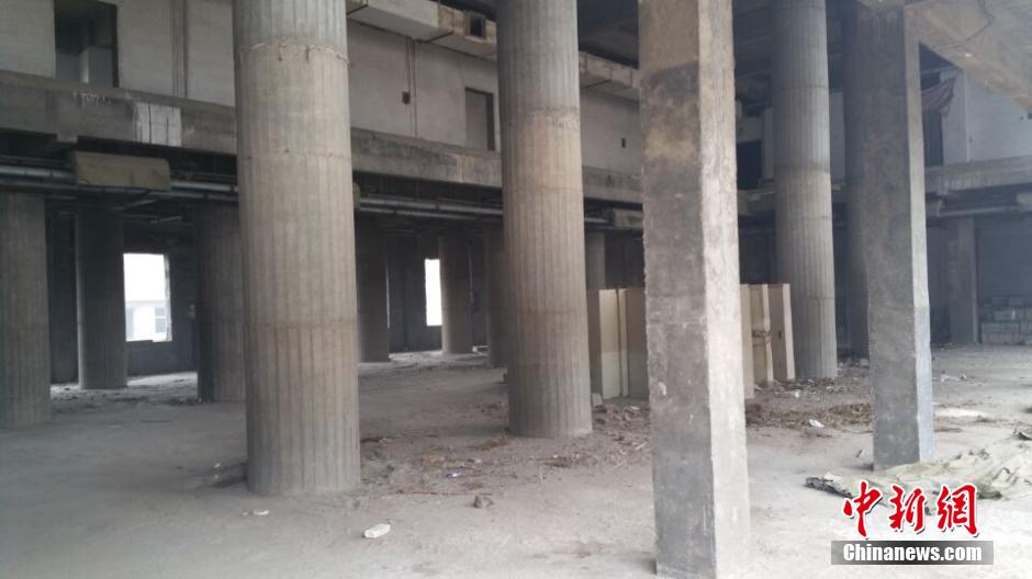 晉州中茂的日常趣事與情感紐帶最新消息揭秘