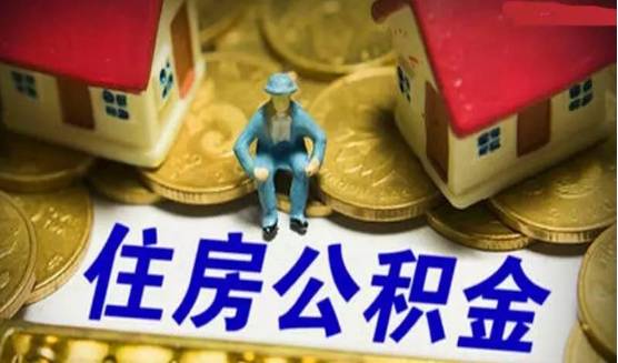 尋找金寧最新消息，步驟指南揭秘最新動態(tài)