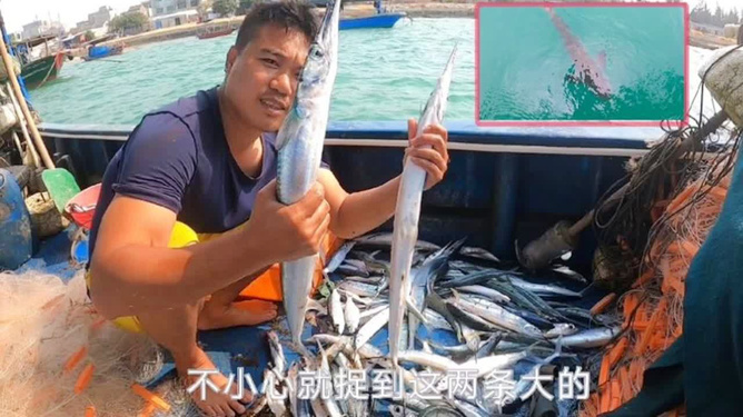 最新西釣網放魚信息，魚躍龍門，共鑒人生新篇章