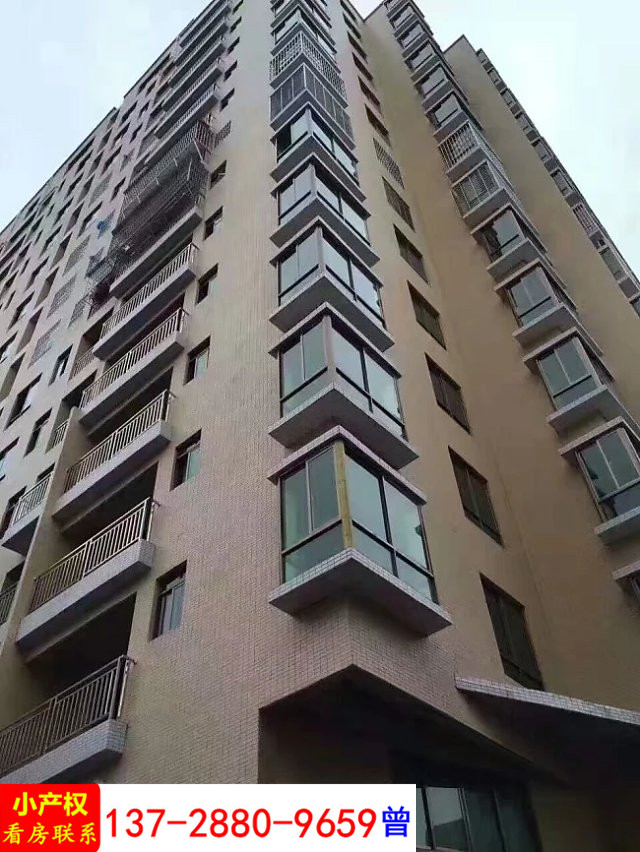 公明小產權房，最新價格揭秘與奇妙旅程探索