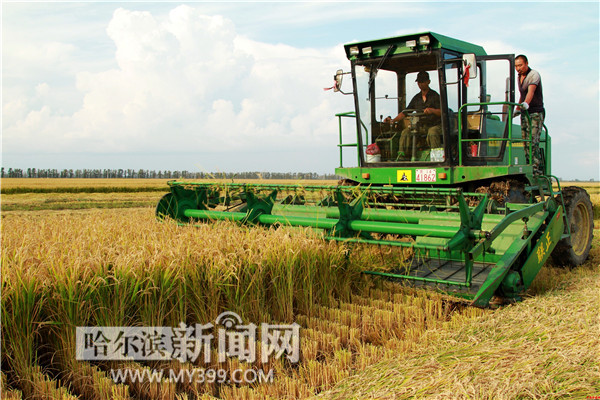 最新型水稻收割機，變化中的學習之旅，自信成就未來