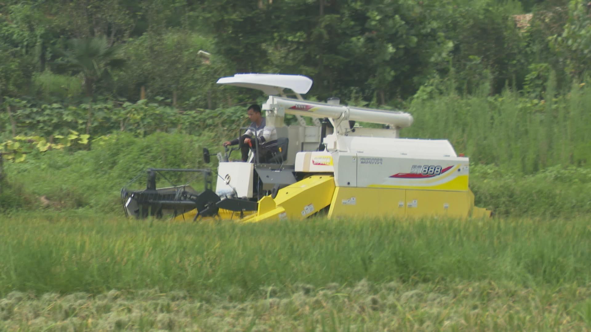 最新型水稻收割機,變化中的學習之旅,自信成就未來