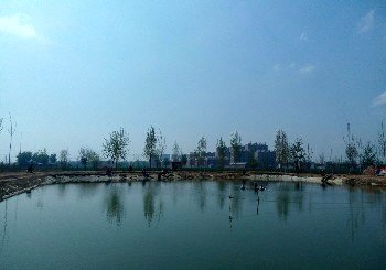 石家莊釣魚場最新魚訊，科技垂釣，開啟未來垂釣生活新篇章