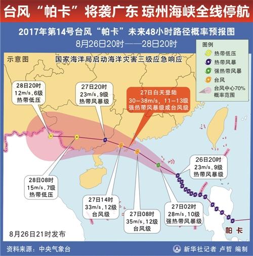 帕卡最新消息路徑,探究其在時代背景下的重要事件與地位