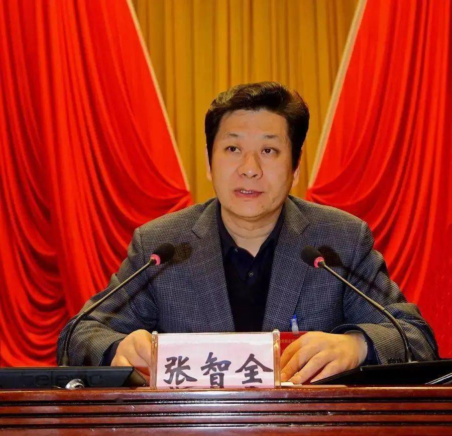 張智全最新消息獲取指南，適用于初學者與進階用戶的步驟教程