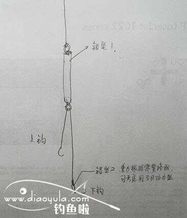 探索與實踐，最新雙墜釣法，揭秘釣魚技巧與策略（2015年）