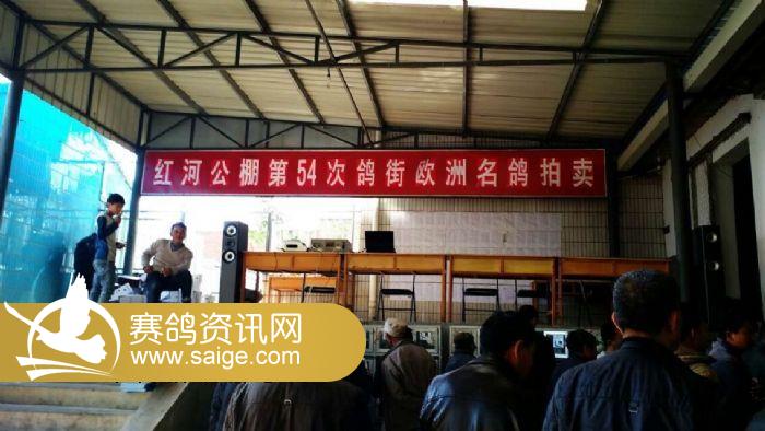 云南紅河公棚引領科技潮流，重塑未來體驗新篇章公告