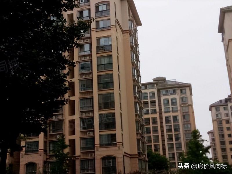 綠色經典精盛青稞酒 第494頁