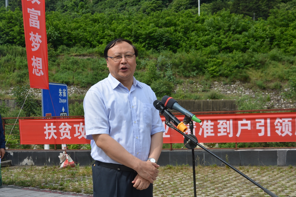 戶縣瑞德寶爾最新動態，溫馨日常概覽