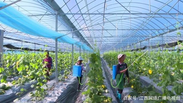 寧定高速公路最新動態,啟程自然美景的探索之旅