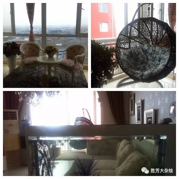 勝芳房屋出租最新動態,小巷深處的特色小店成新寵