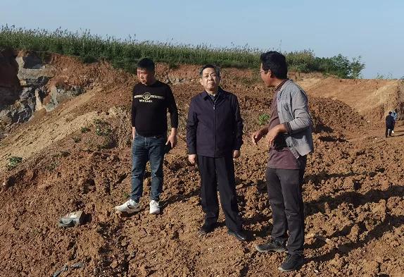 洛陽伊濱區最新進展更新速遞