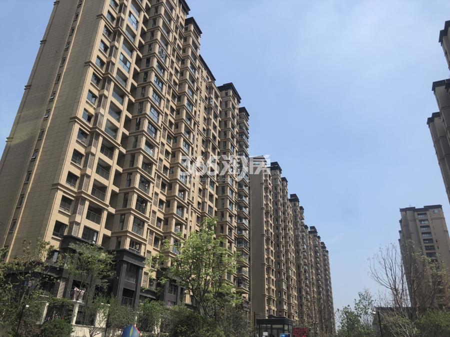 南京中糧鴻云最新動(dòng)態(tài)更新