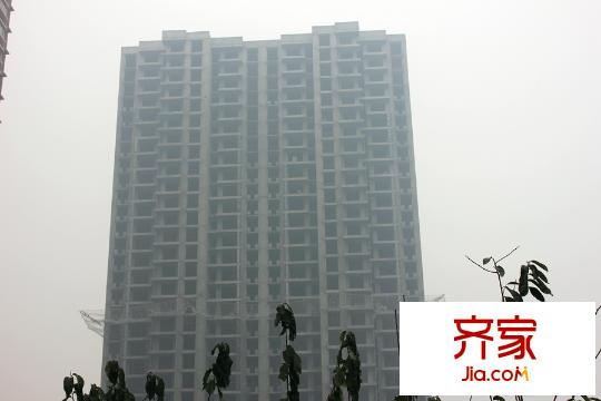 同美生活區鄰里日常趣事與深厚友情紐帶最新報道