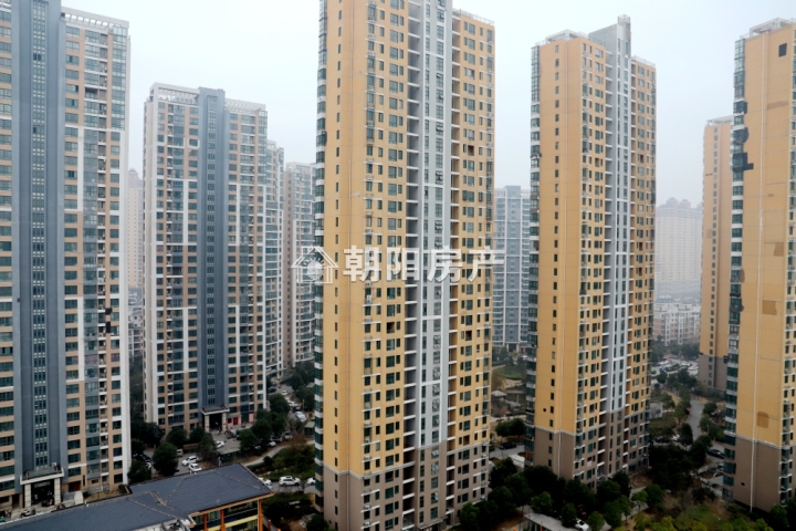 銀鷺萬樹城最新動態揭秘，城市未來面貌展望