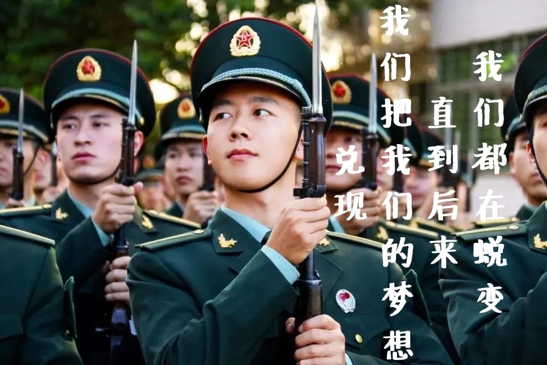 士官制度改革最新動態，報名指南與新制度適應策略