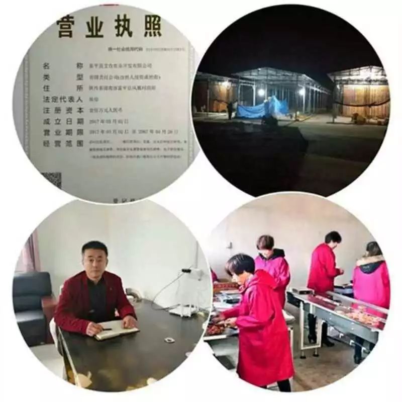 陜西省富平縣最新招聘啟事，追夢富平，學習成就未來職業之路