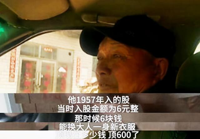 信用社股金最新動態(tài)，小巷中的隱秘寶藏揭秘