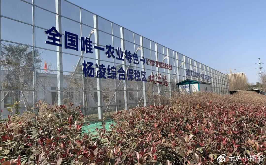 王臺保稅區科技前沿產品引領未來生活，最新消息匯總