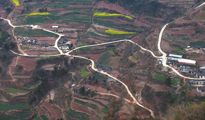 綠色經(jīng)典精盛青稞酒 第474頁