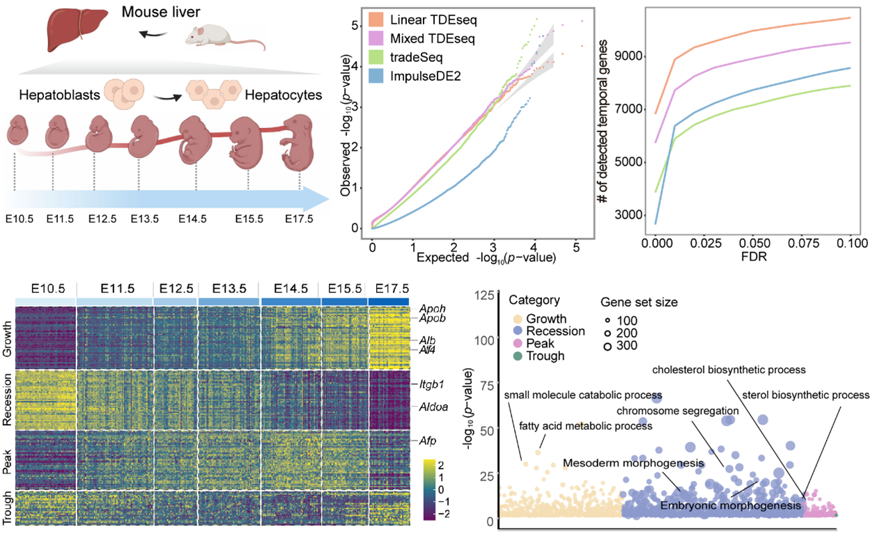 2024又要開始做核酸了,數據包絡分析法_KEG58.903零售版